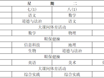隆政初中2024-2025学年度体育课程总表